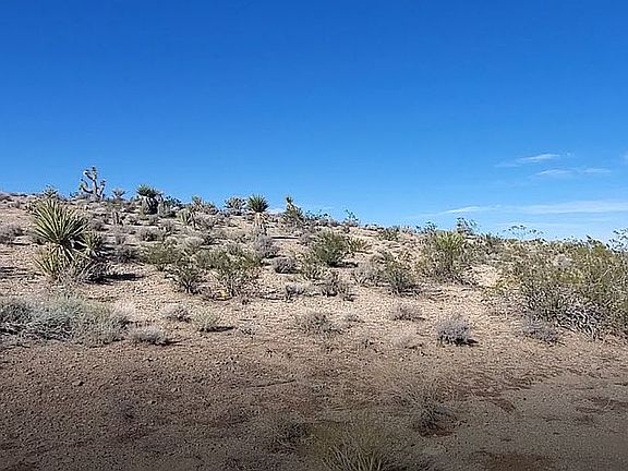 4th image of 29779 N Driftwood Dr