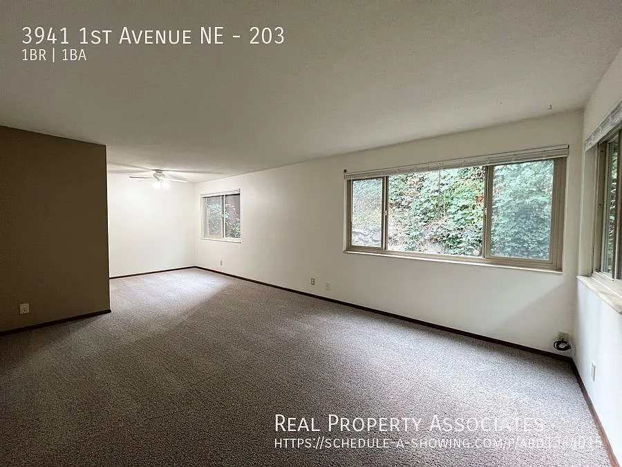 3941 1st Ave NE #203