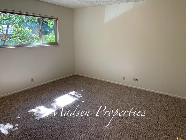 Palm Manor- 1017 Esplanade - 10 — Photo 12