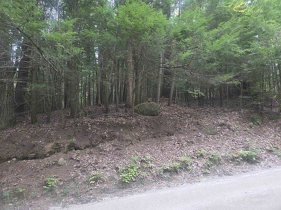 2nd image of Map 09 Lot 30 Gould Pond Road