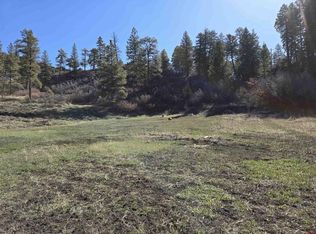 1181 Raccoon Dr, Pagosa Springs, CO 81147