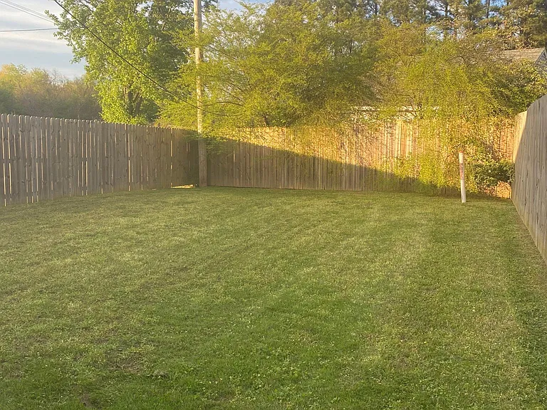 Back lawn