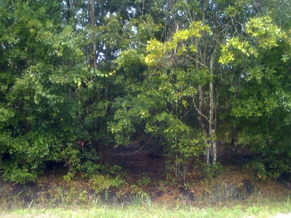 3rd image of 1495 County Road 75