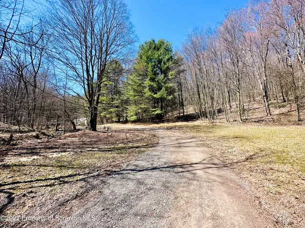 830 Sorber Mountain Rd W, Noxen, PA 18636