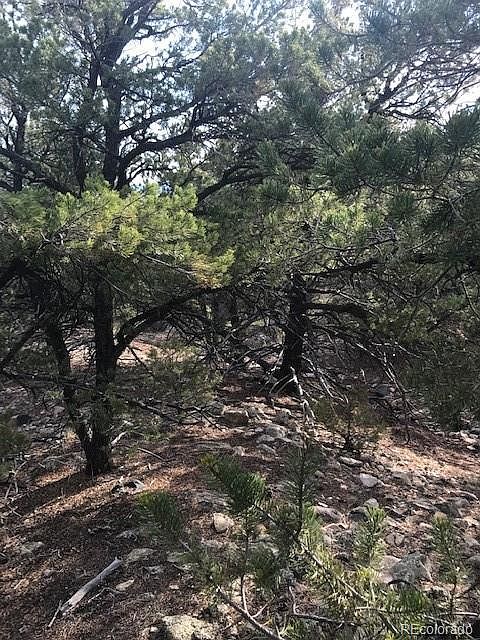 2nd image of 5703 Pinon Ridge Trl
