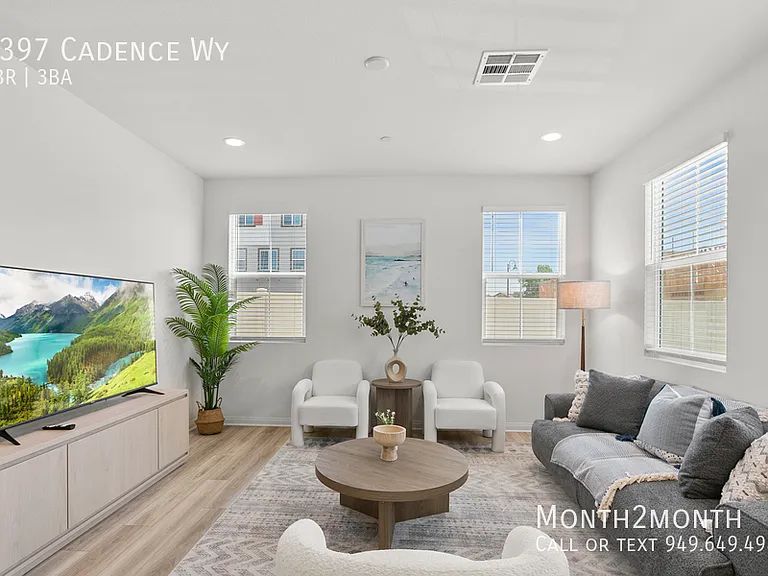 4397 Cadence Way — Photo 3