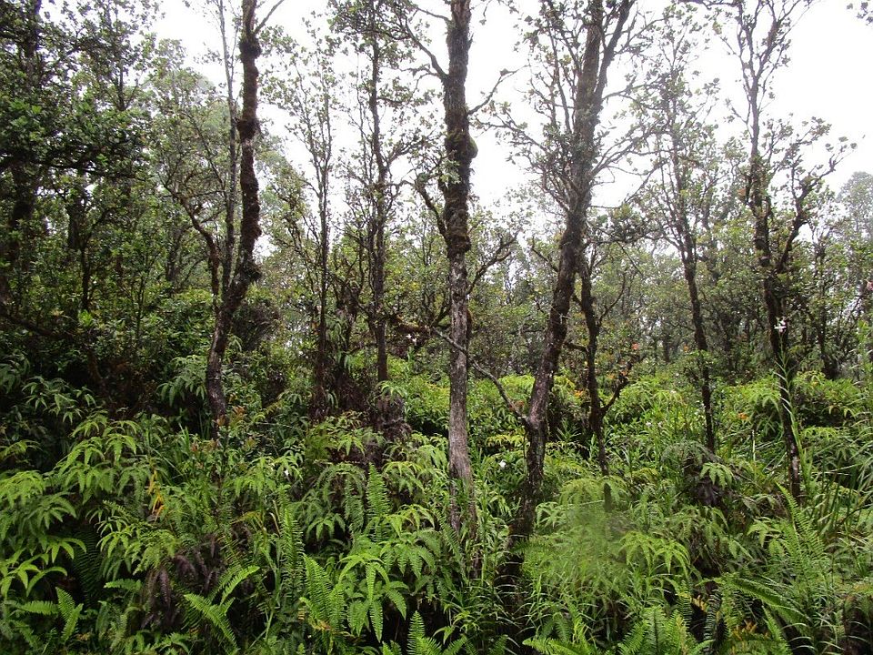 1st image of Ahiukau St Lot 14