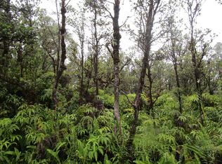 Ahiukau St LOT 14, Mountain View, HI 96771
