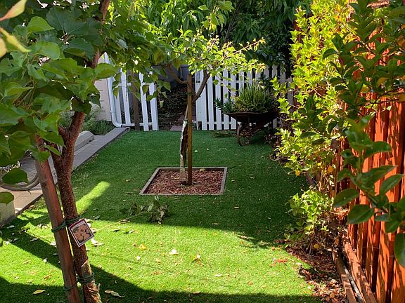 Fruit trees