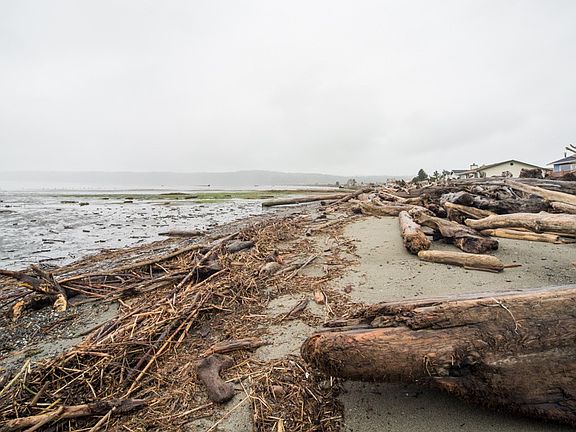 3rd image of 847 Livingston Bay Shore Dr
