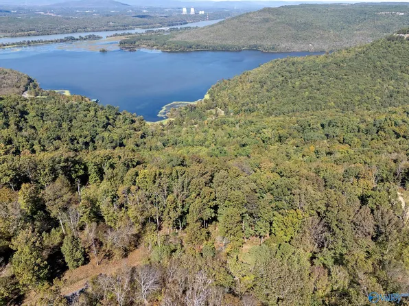 2 County Road 224, Dutton, AL 35744