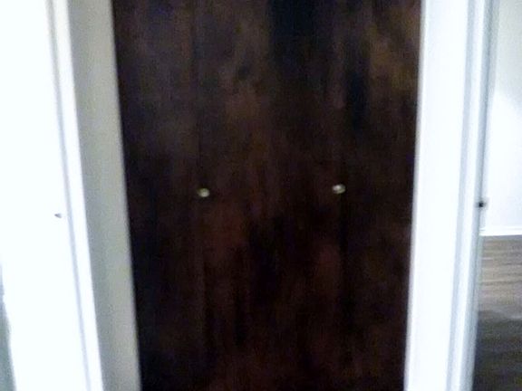 Condo Hallway Closet