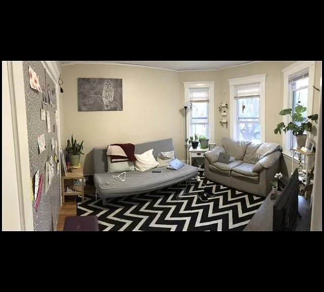 11 Harold St #1 — Photo 11