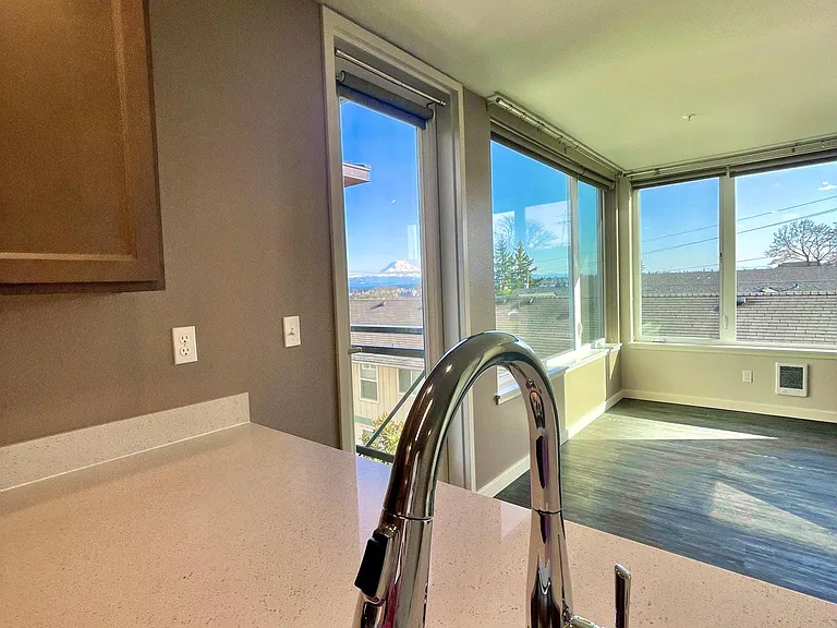 A 301 View of Mt. Rainier from kitchen sink