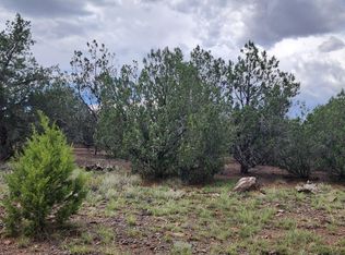 859 N Verde Ln, Seligman, AZ 86337