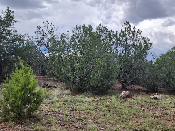859 N Verde Ln, Seligman, AZ 86337