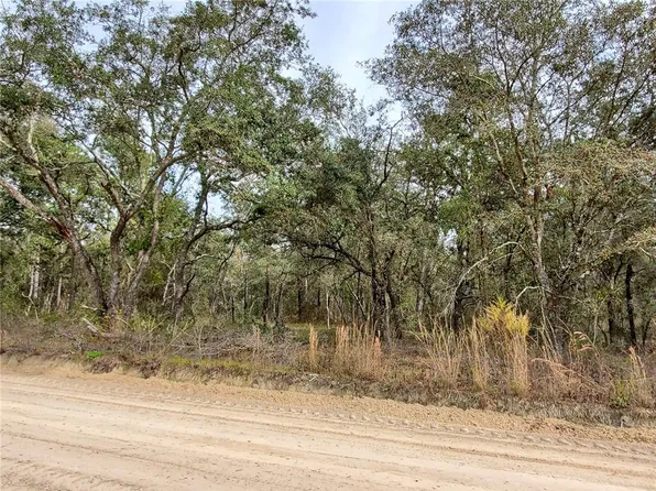 NE 120th Ave Lot 7, Williston, FL 32696