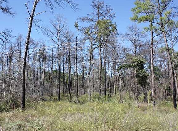 3rd image of 932 E State Highway 71