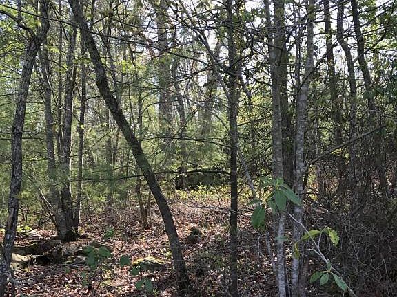4th image of Forest Hill Ct