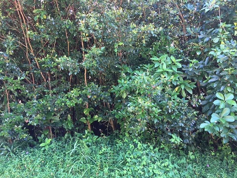 1st image of Kalapana St Lot 769