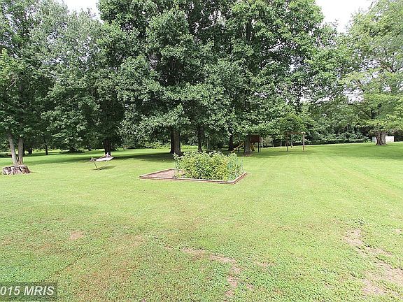 Large Back Yard