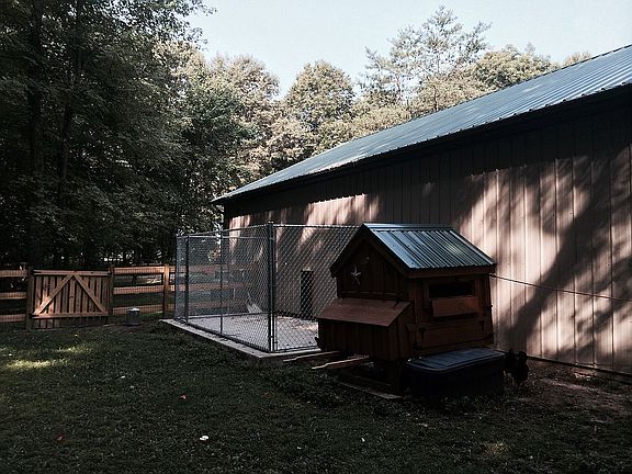 Outdoor kennel & chicken yar