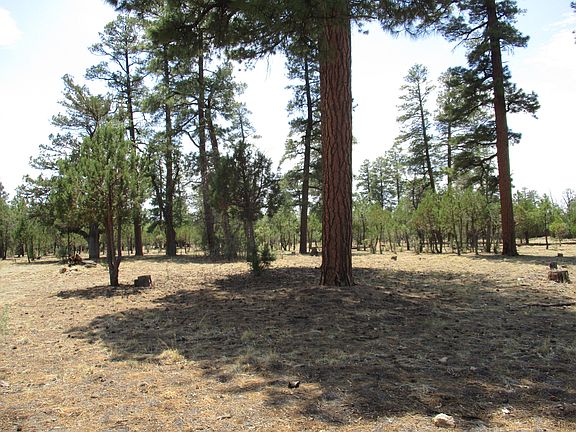 3rd image of 4916 Juniper Dr
