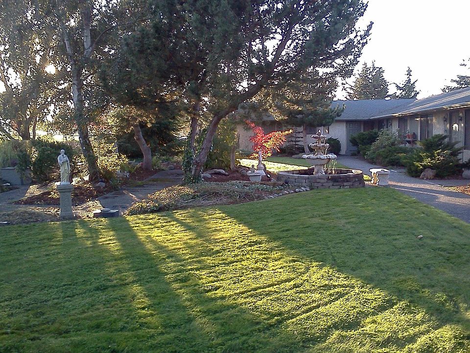 Courtyard Garden