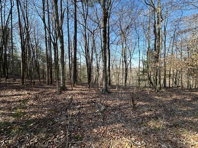 LOT 1640 Hunter Dr, Talking Rock, GA, 30175