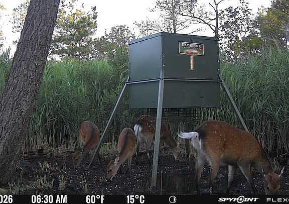 3rd image of 3241 Robbins Rd