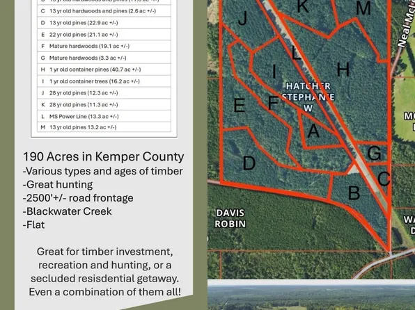 0 Neal McLelland Rd, Daleville, MS 39326