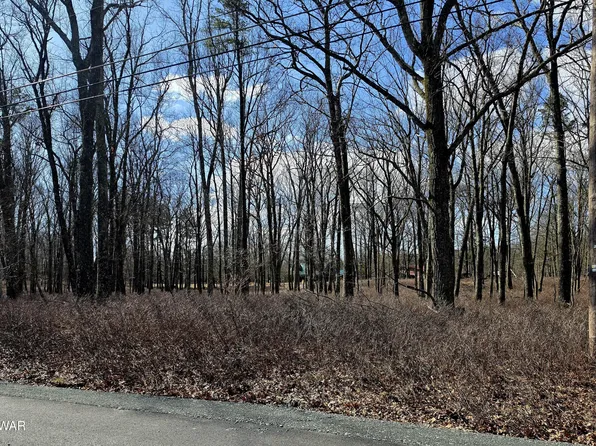 161 Lakeview Cir, Hawley, PA 18428