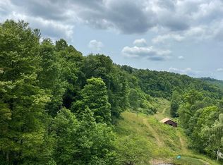 628 Dunkin Run Rd, Roanoke, WV 26447