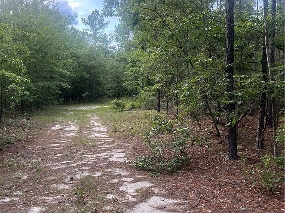 2nd image of 000 Scuffletown Rd Road