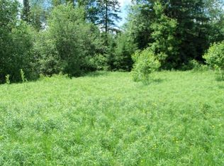 N10545 Jones Rd, Tomahawk, WI 54487