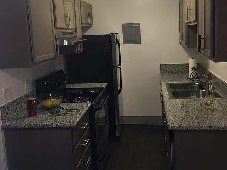 Ethan Terrace — Photo 15