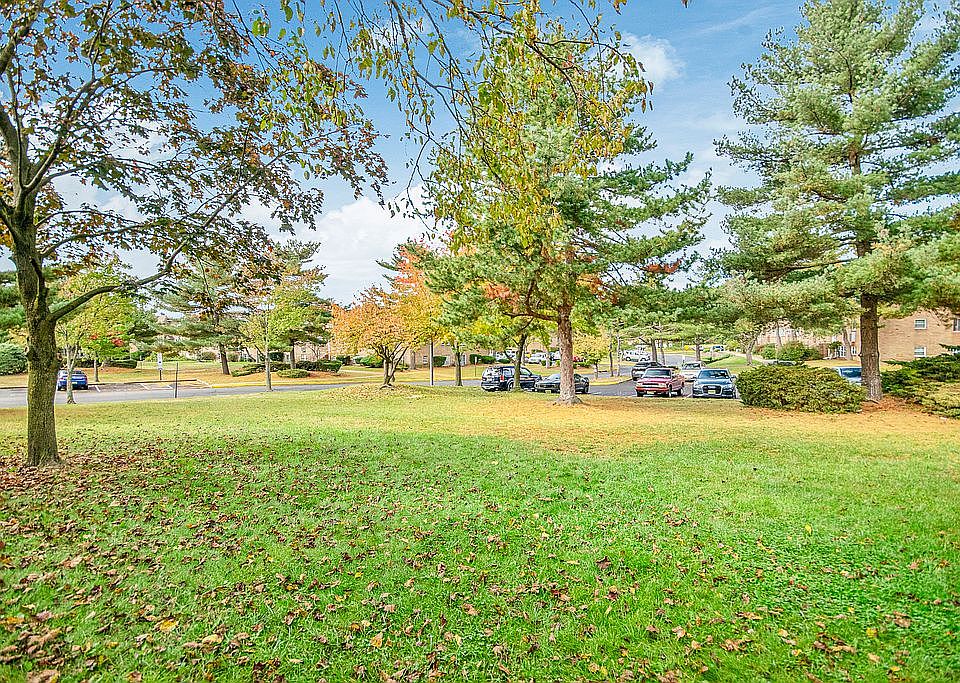 Front grassy area