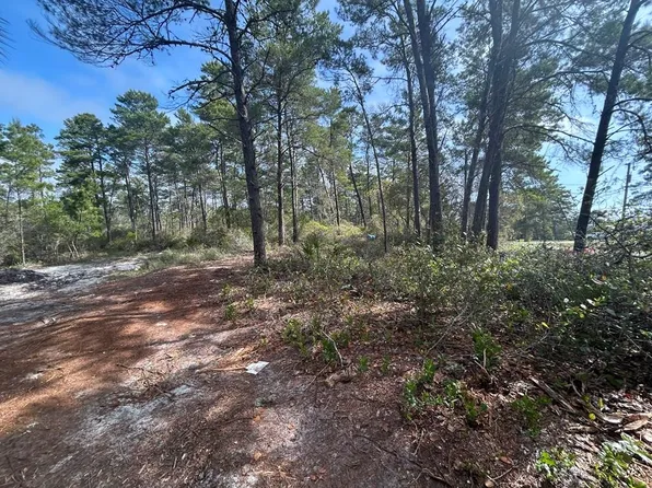 1863 Lighthouse Rd, Carrabelle, FL 32322