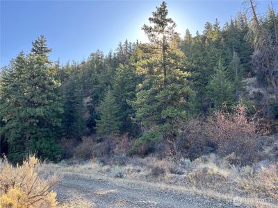 31 Tyee View Loop, Orondo, WA, 98843
