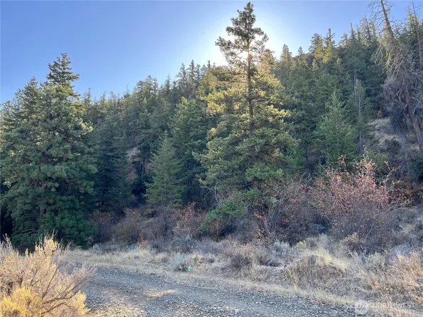 31 Tyee View Loop, Orondo, WA 98843