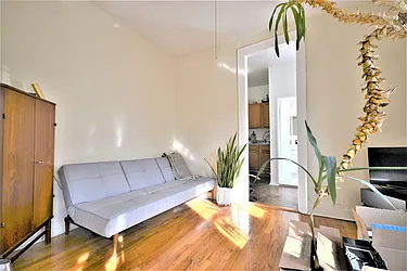Rented by Bold New York