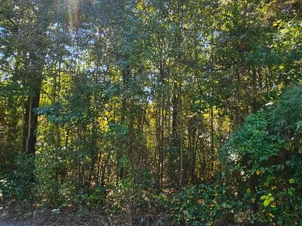 LOT 6 Thelma Ct, Greenwood, DE 19950