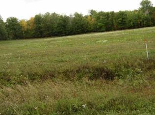 Xxx Arney Rd, Pt Wing, WI 54865