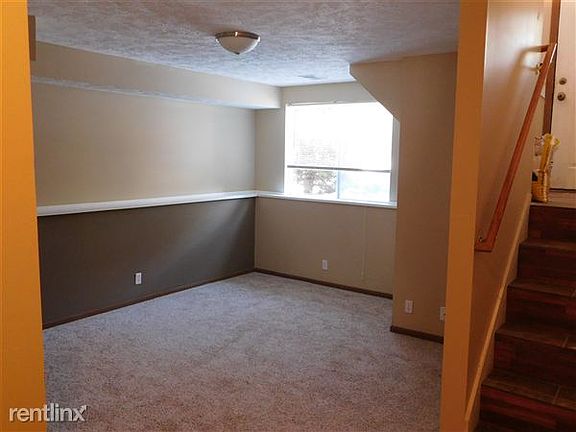 Family Room - New Carpeting