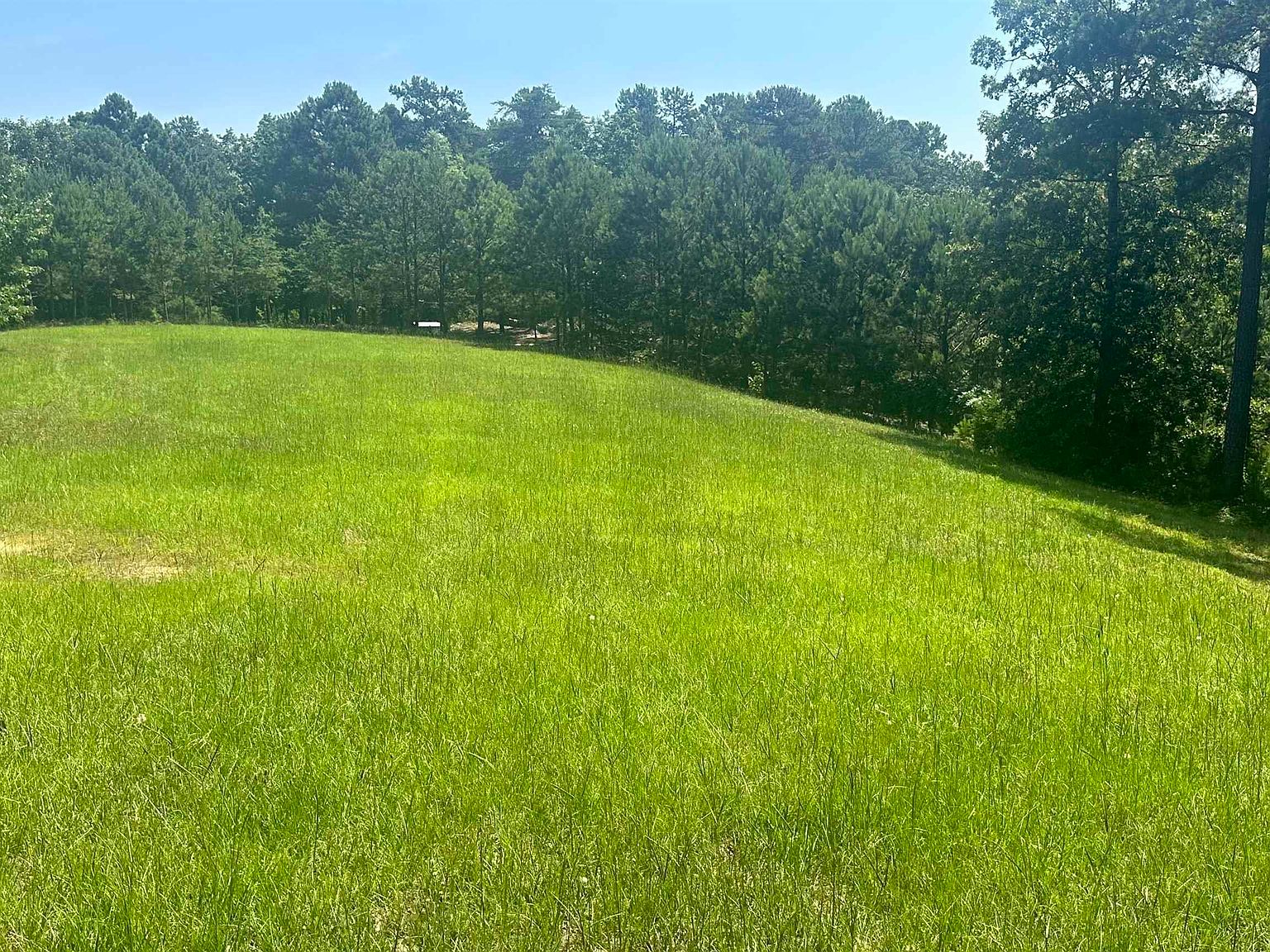 1 County Road 767 LOT 1, Cedar Bluff, AL 35959 Zillow