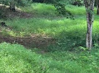 TRACT 1 Lower Rinehart Rd, Dandridge, TN 37725