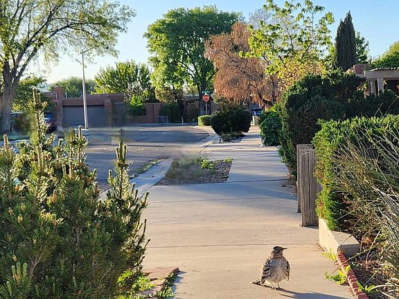 Looking down the sidewalk