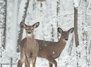 406 Deerfoot Ln, Albrightsville, PA 18210