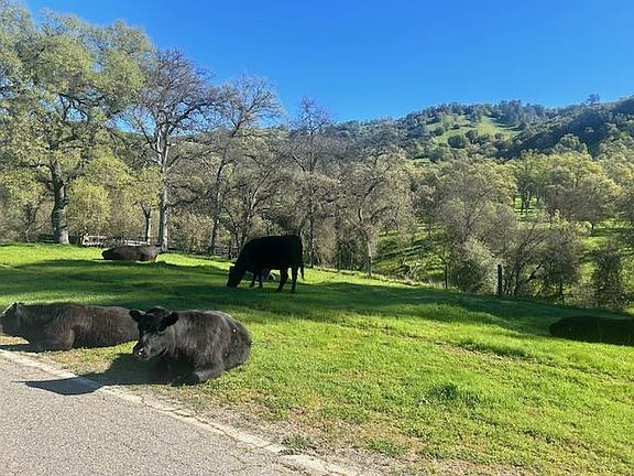 5th image of 0 Moccasin Ranch Rd