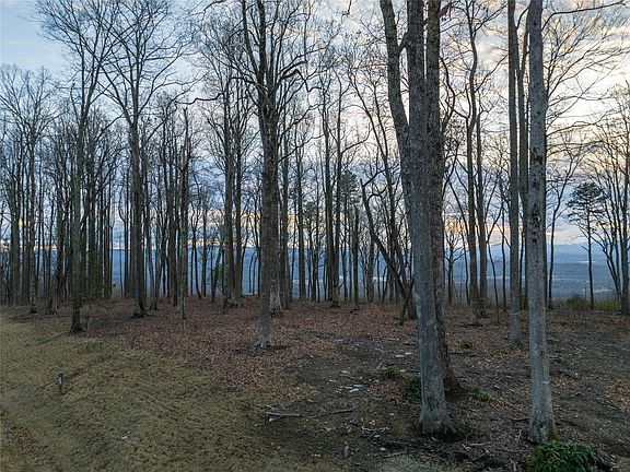 4th image of 0 Mountain Laurel Ln #69